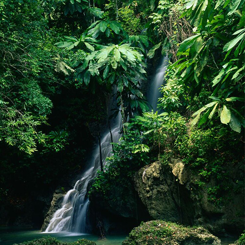 Things to Know About Jamaica The Jamaican Consulate, Cayman Islands